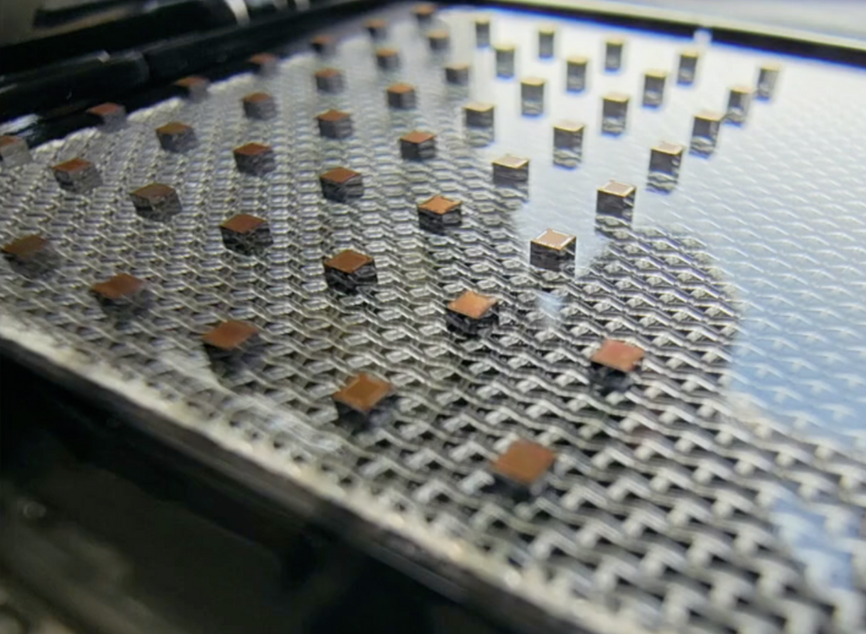 neurae chips on wafer tray